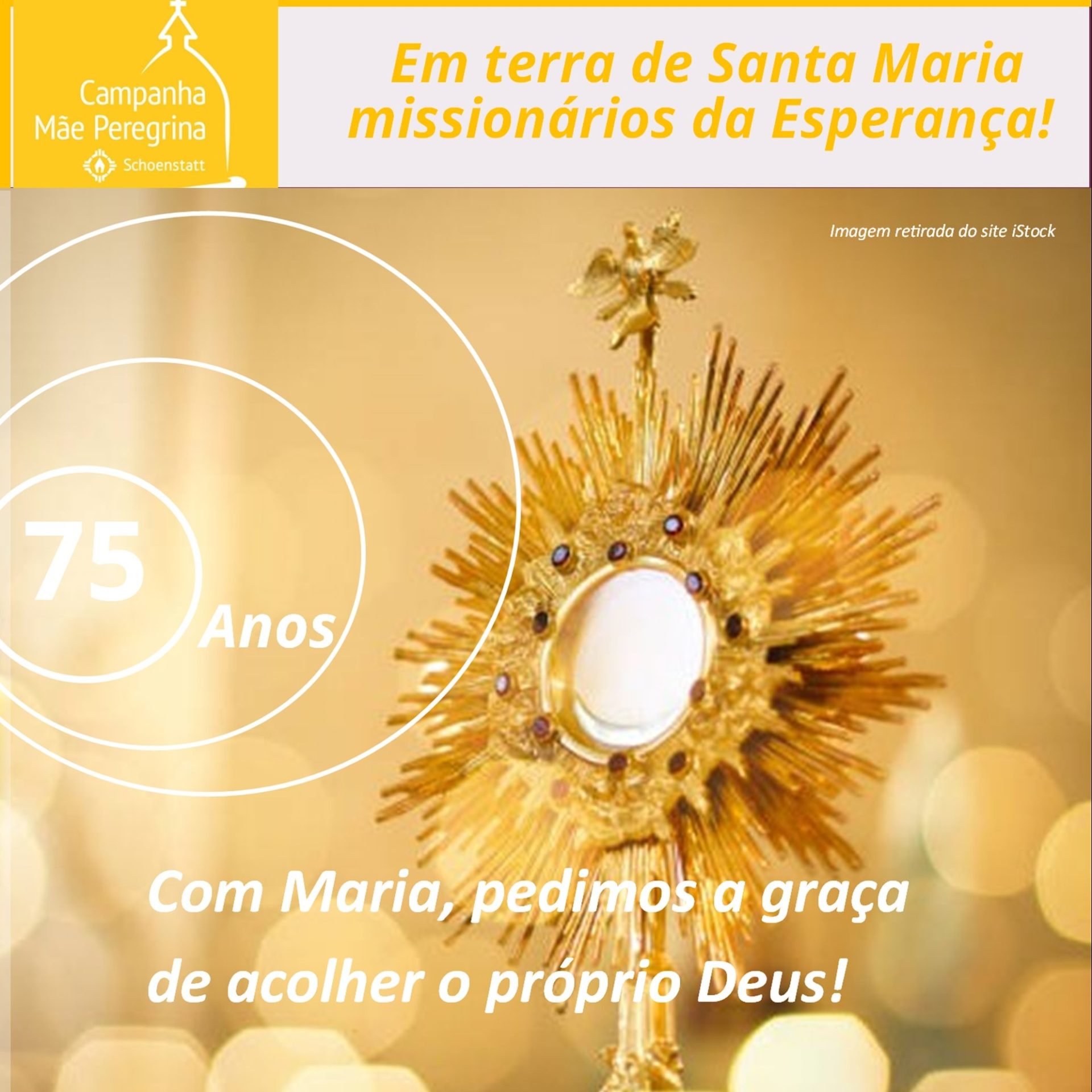 CMP – News Letter Maio 2025