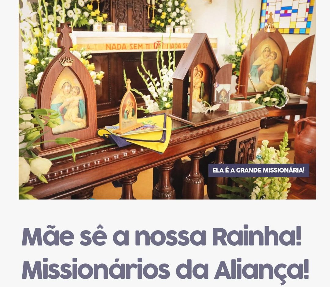 CMP – News Letter Novembro