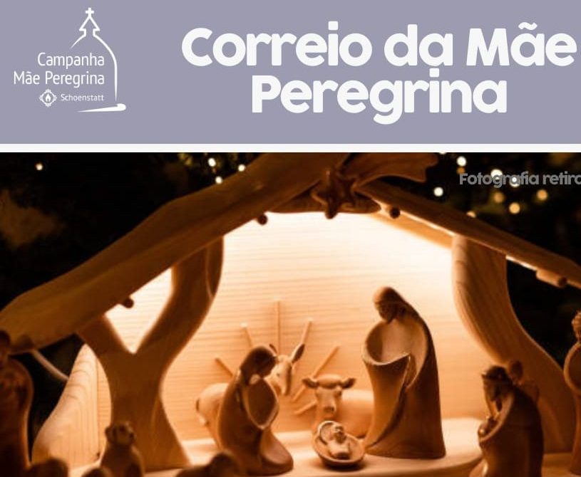 CMP – News Letter Dezembro