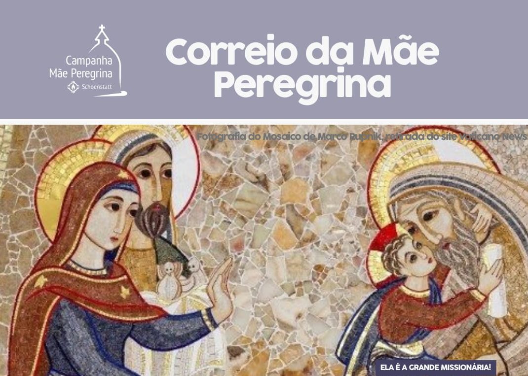 CMP – News Letter Janeiro